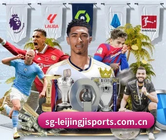 雷竞技网页 APP（RAYESPORTS）